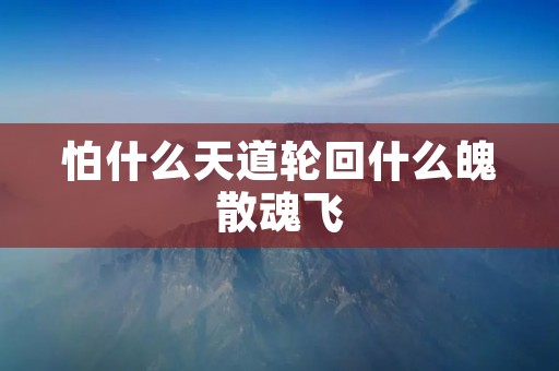 怕什么天道轮回什么魄散魂飞