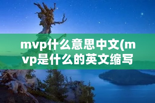 mvp什么意思中文(mvp是什么的英文缩写)