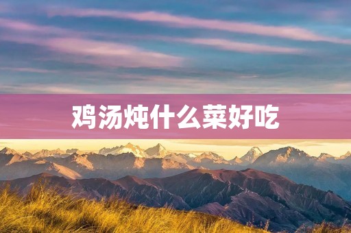 鸡汤炖什么菜好吃 鸡汤炖什么菜好吃