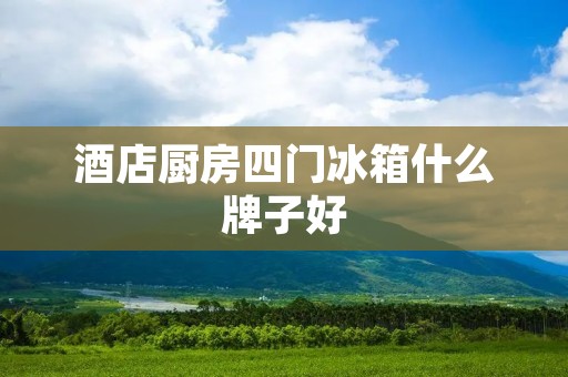 酒店厨房四门冰箱什么牌子好