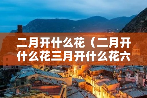 二月开什么花（二月开什么花三月开什么花六月开什么花九月开什么花）