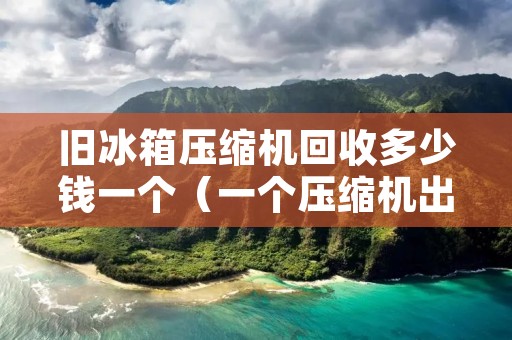 旧冰箱压缩机回收多少钱一个（一个压缩机出多少铜）