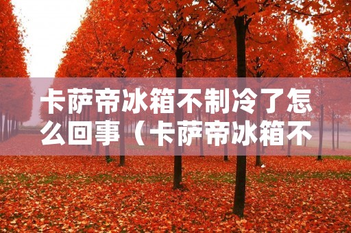 卡萨帝冰箱不制冷了怎么回事(卡萨帝冰箱不制冷了怎么回事视频)