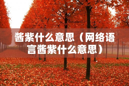 酱紫什么意思(网络语言酱紫什么意思) 酱紫什么意思(网络语言酱紫什么意思)