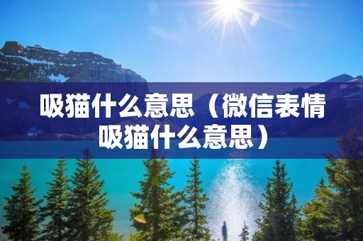 吸猫什么意思(微信表情吸猫什么意思) 吸猫什么意思(微信表情吸猫什么意思)