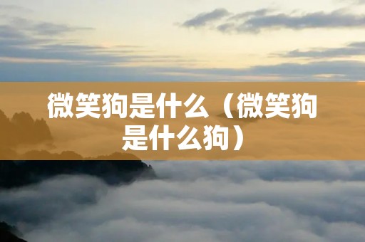 微笑狗是什么（微笑狗是什么狗）