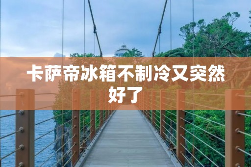 卡萨帝冰箱不制冷又突然好了