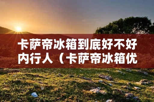 卡萨帝冰箱到底好不好内行人(卡萨帝冰箱优点和缺点)