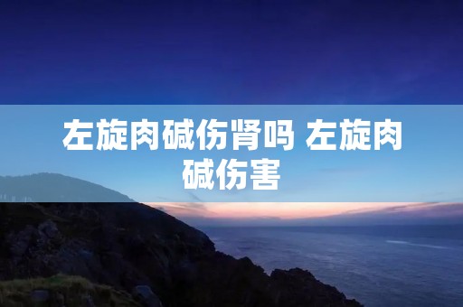 左旋肉碱伤肾吗 左旋肉碱伤害