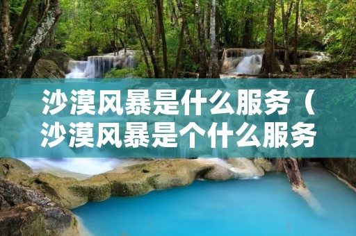 沙漠风暴是什么服务（沙漠风暴是个什么服务）