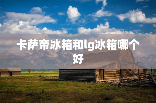 卡萨帝冰箱和lg冰箱哪个好