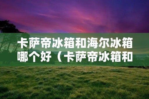 卡萨帝冰箱和海尔冰箱哪个好(卡萨帝冰箱和海尔冰箱哪个好?)