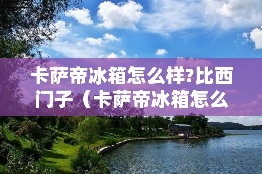 卡萨帝冰箱怎么样?比西门子(卡萨帝冰箱怎么样?比西门子冰箱好吗)