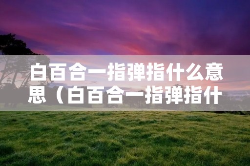 白百合一指弹指什么意思（白百合一指弹指什么意思?）