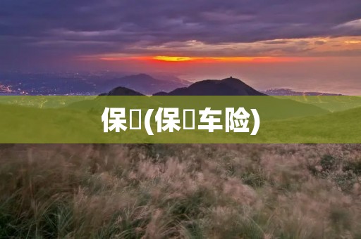 保骉(保骉车险)
