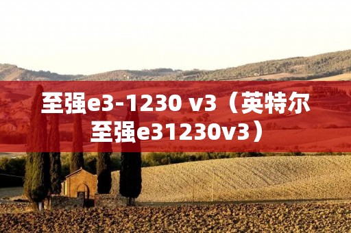 至强e3-1230 v3（英特尔至强e31230v3）