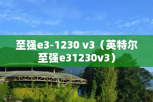 至强e3-1230 v3（英特尔至强e31230v3）