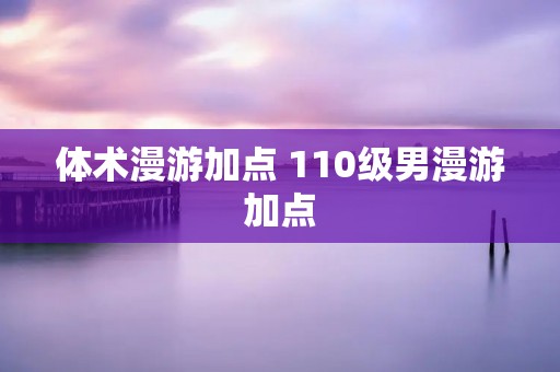 体术漫游加点 110级男漫游加点 体术漫游加点 110级男漫游加点