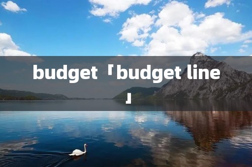 budget「budget line」