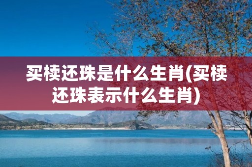 买椟还珠是什么生肖(买椟还珠表示什么生肖)