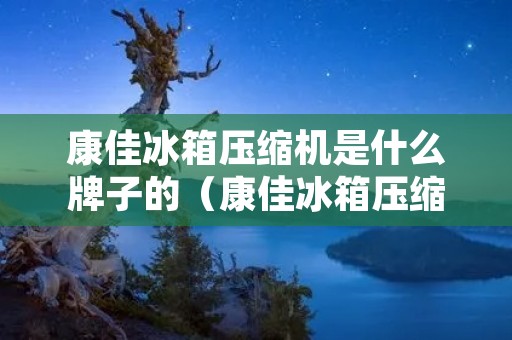康佳冰箱压缩机是什么牌子的(康佳冰箱压缩机是什么牌子的啊)