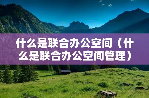 什么是联合办公空间（什么是联合办公空间管理）