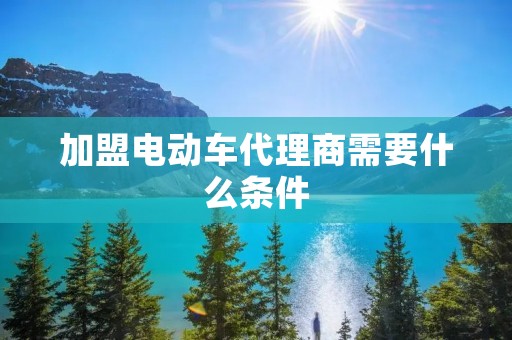 加盟电动车代理商需要什么条件 加盟电动车代理商需要什么条件