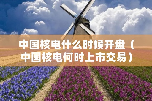 中国核电什么时候开盘（中国核电何时上市交易）