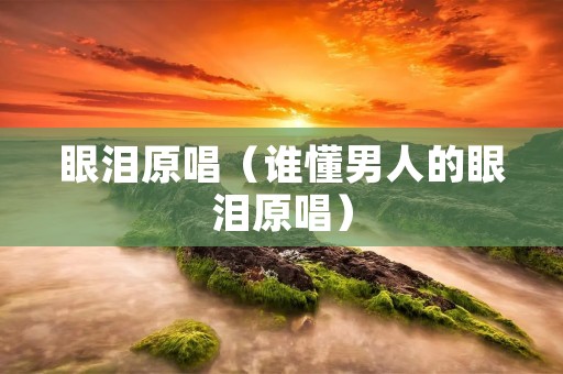 眼泪原唱（谁懂男人的眼泪原唱）