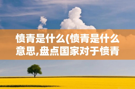 愤青是什么(愤青是什么意思,盘点国家对于愤青的态度)