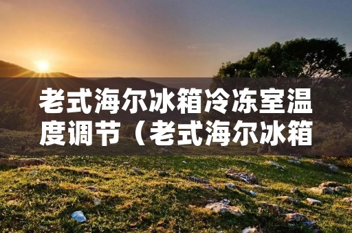 老式海尔冰箱冷冻室温度调节（老式海尔冰箱冷冻室温度调节方法）