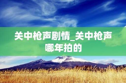 关中枪声剧情_关中枪声哪年拍的