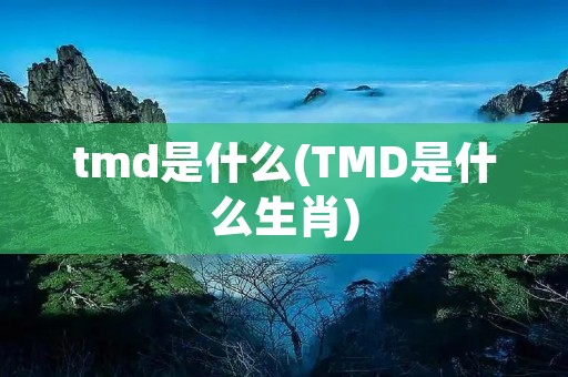 tmd是什么(TMD是什么生肖)