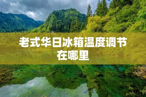 老式华日冰箱温度调节在哪里
