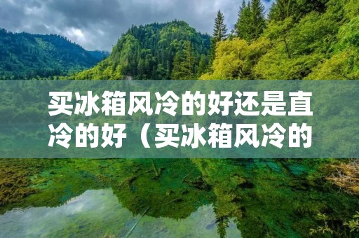 买冰箱风冷的好还是直冷的好（买冰箱风冷的好还是直冷的好用）