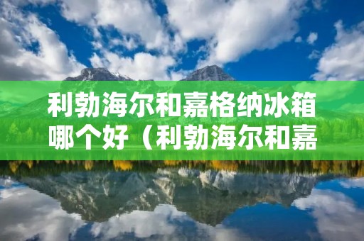 利勃海尔和嘉格纳冰箱哪个好（利勃海尔和嘉格纳冰箱哪个好些）