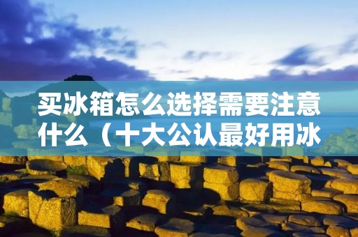 买冰箱怎么选择需要注意什么(十大公认最好用冰箱)