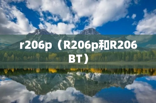 r206p(R206p和R206BT) r206p(R206p和R206BT)