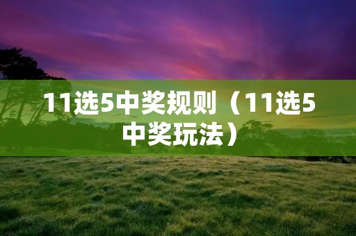11选5中奖规则(11选5中奖玩法) 11选5中奖规则(11选5中奖玩法)