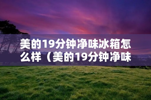美的19分钟净味冰箱怎么样(美的19分钟净味冰箱有哪些)
