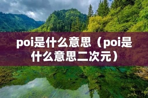 poi是什么意思（poi是什么意思二次元）