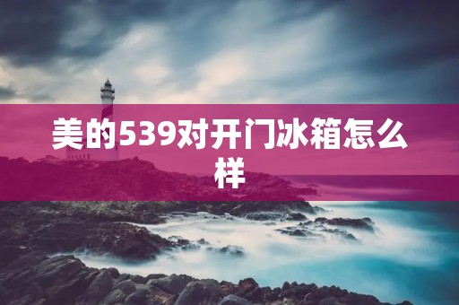 美的539对开门冰箱怎么样