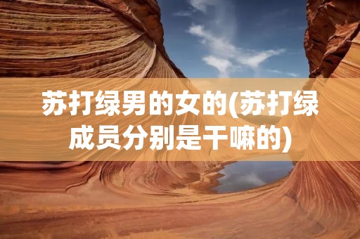 苏打绿男的女的(苏打绿成员分别是干嘛的)