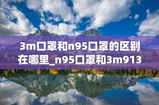 3m口罩和n95口罩的区别在哪里_n95口罩和3m9132