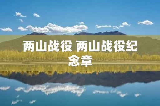 两山战役 两山战役纪念章