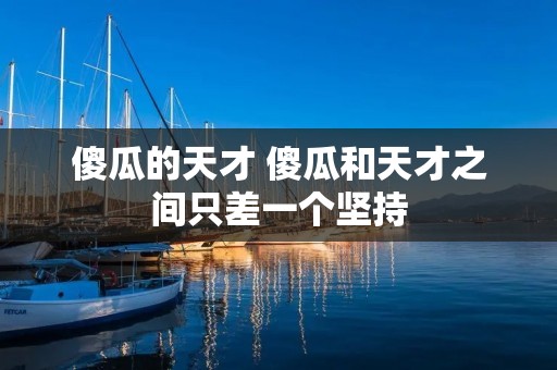 傻瓜的天才 傻瓜和天才之间只差一个坚持