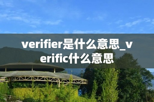 verifier是什么意思_verific什么意思