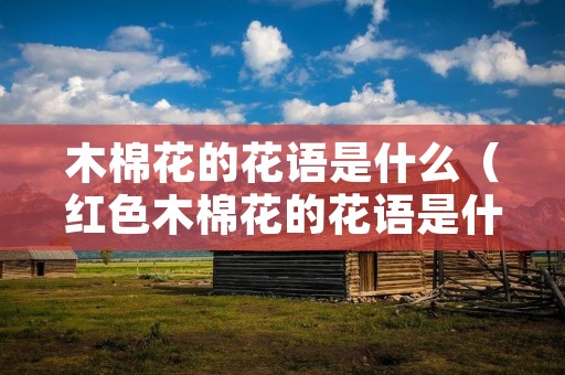 木棉花的花语是什么(红色木棉花的花语是什么) 木棉花的花语是什么(红色木棉花的花语是什么)