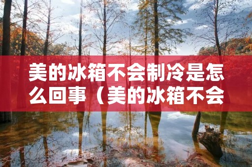 美的冰箱不会制冷是怎么回事（美的冰箱不会制冷是怎么回事儿）