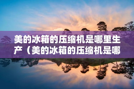 美的冰箱的压缩机是哪里生产（美的冰箱的压缩机是哪里生产出来的）
